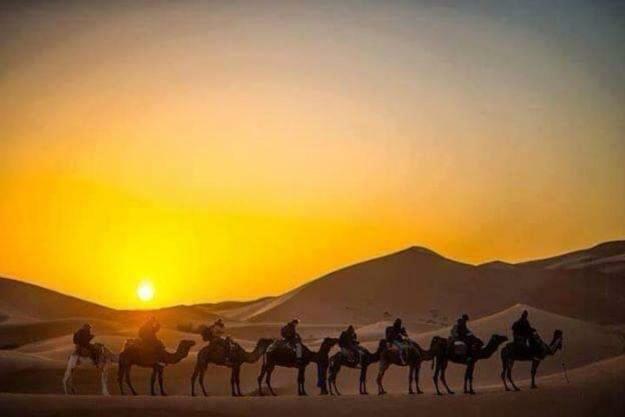 Sahara Nomad Camp